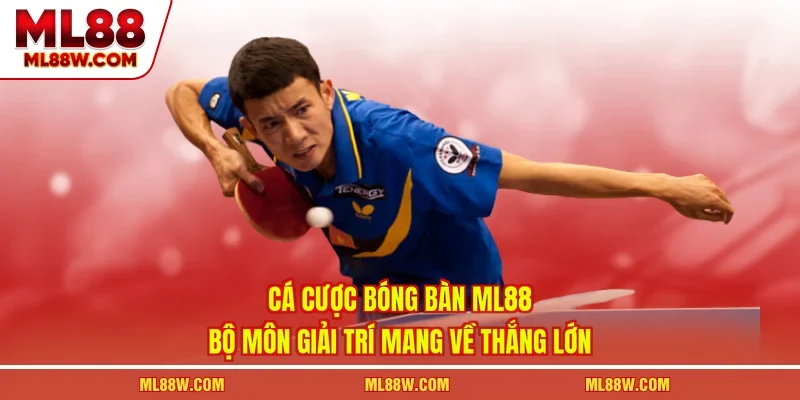 Cá Cược Bóng Bàn ML88
