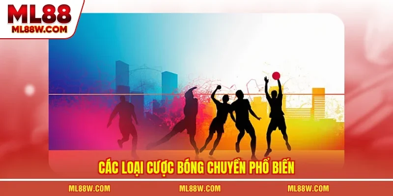 Các loại cược bóng chuyền phổ biến