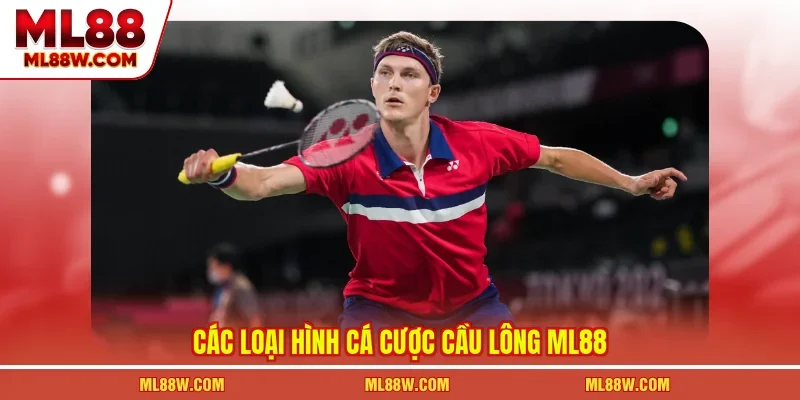 Các loại hình cá cược cầu lông ML88