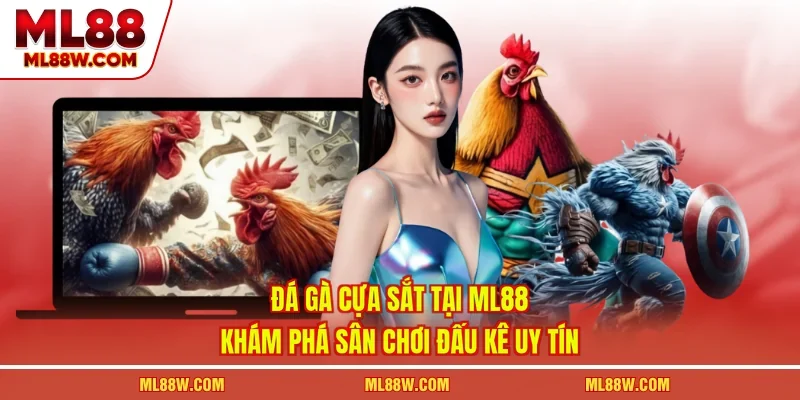 Đá Gà Cựa Sắt Tại ML88 - Khám Phá Sân Chơi Đấu Kê Uy Tín