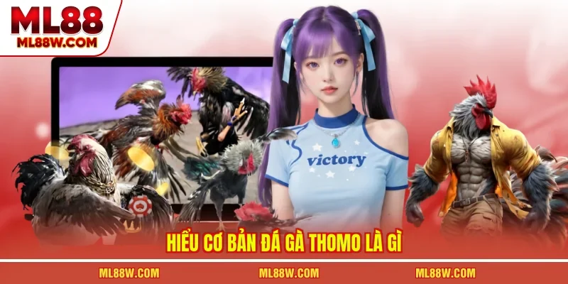 Hiểu cơ bản đá gà thomo là gì