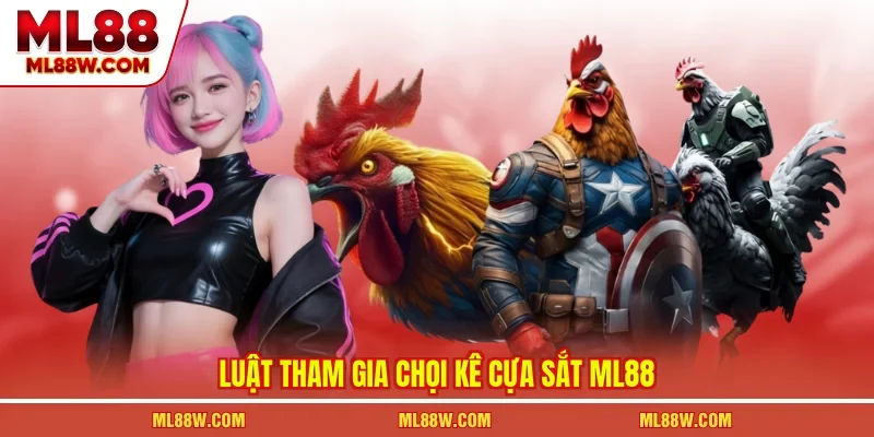 Luật tham gia chọi kê cựa sắt ML88