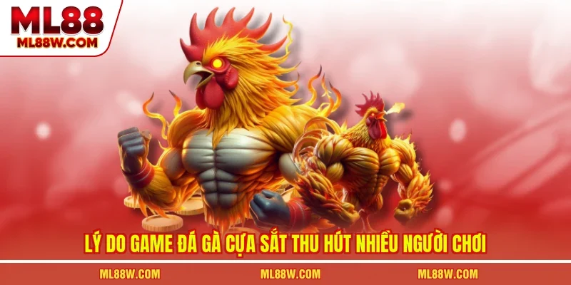 Lý do game đá gà cựa sắt thu hút nhiều người chơi