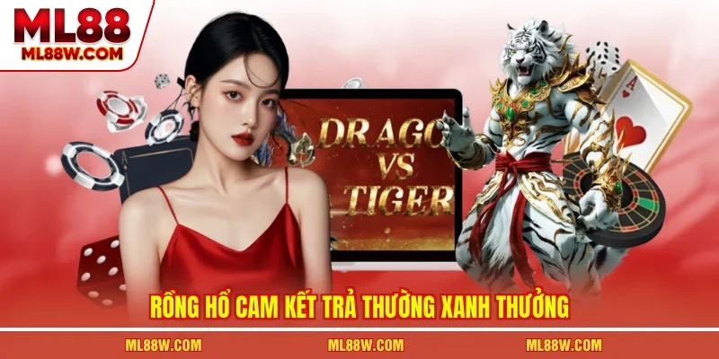Rồng hổ cam kết trả thường xanh thưởng